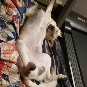 Meet your Posher, Jasmine